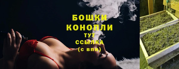 не бодяженный Заводоуковск