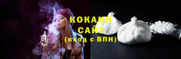 прущие грибы Заволжск