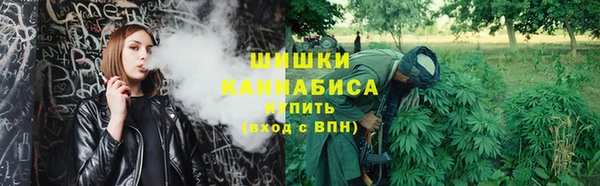 не бодяженный Заводоуковск
