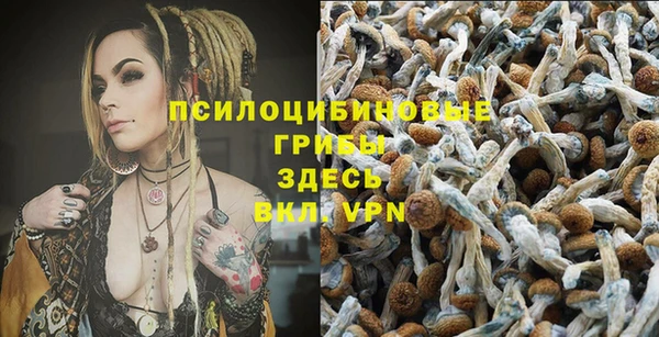 прущие грибы Заволжск