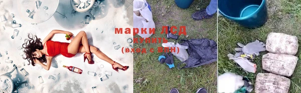 прущие грибы Заволжск