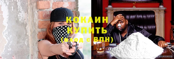 прущие грибы Заволжск