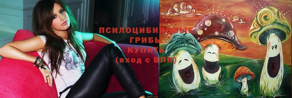 не бодяженный Заводоуковск